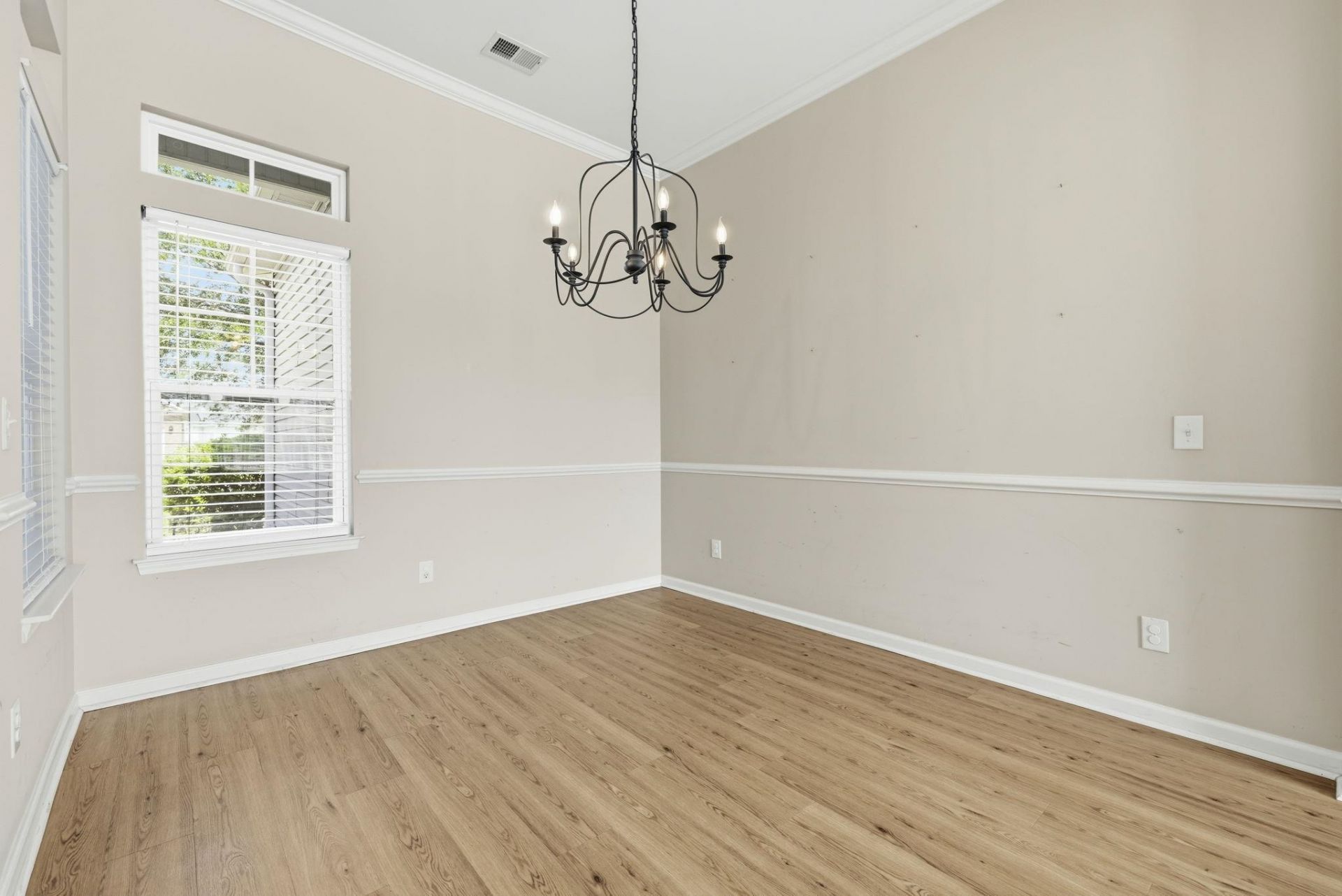 113 Haig Dr. Photo 15
