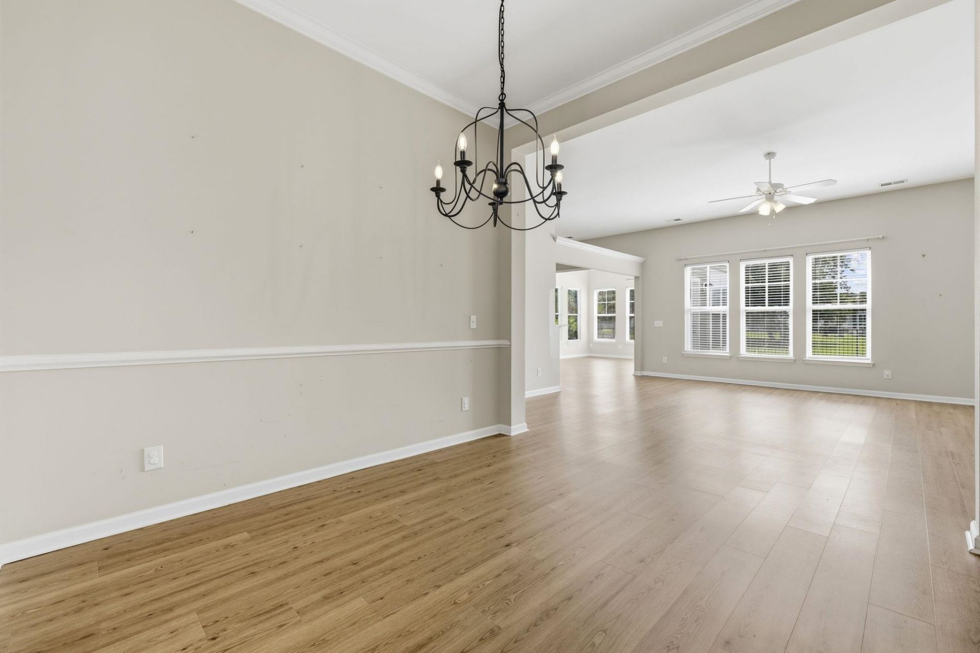 113 Haig Dr. Photo 16