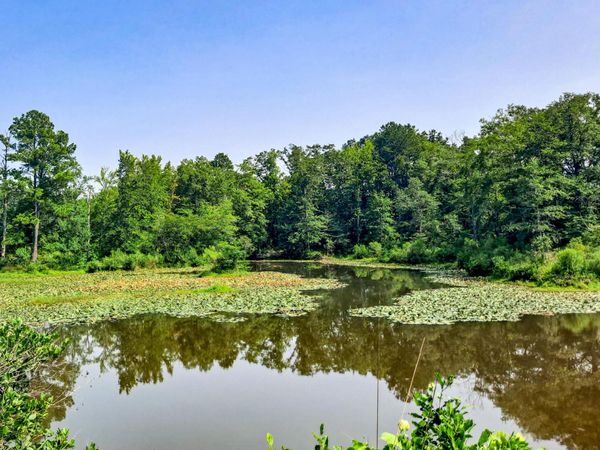 MCDADE Rd, Carbon Hill, AL 35549