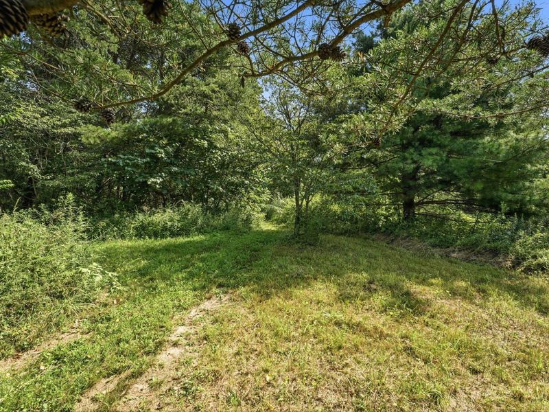 3706 State Route 13 SE, Crooksville, OH 43731 Photo 58