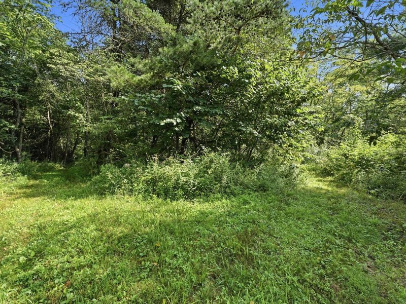 3706 State Route 13 SE, Crooksville, OH 43731 Photo 59