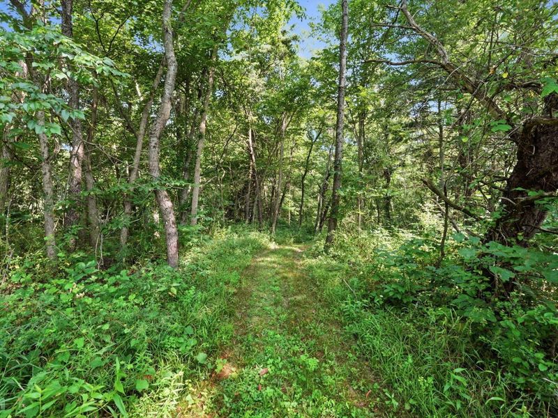 3706 State Route 13 SE, Crooksville, OH 43731 Photo 61