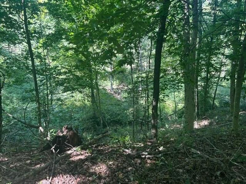 3706 State Route 13 SE, Crooksville, OH 43731 Photo 62