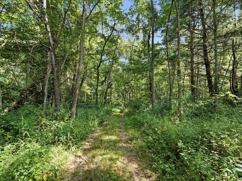 3706 State Route 13 SE, Crooksville, OH 43731 Photo 63