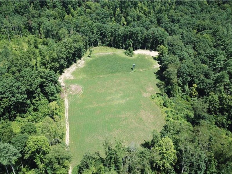 50316 State Route 26, Beallsville, OH 43716 Photo 21