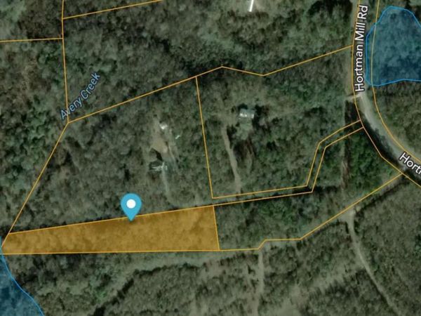 155 Heron Lane, Roberta, GA 31078