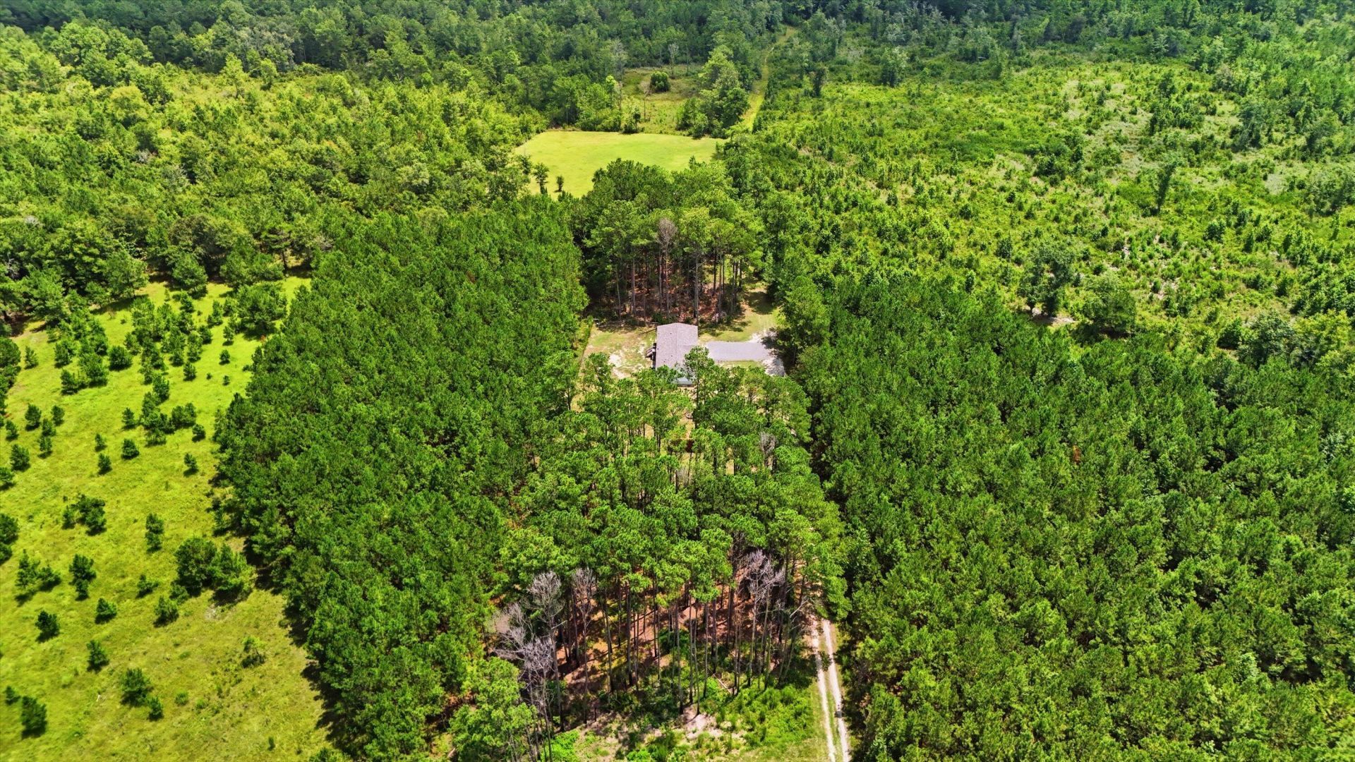 154 Beejay Lane Photo 41