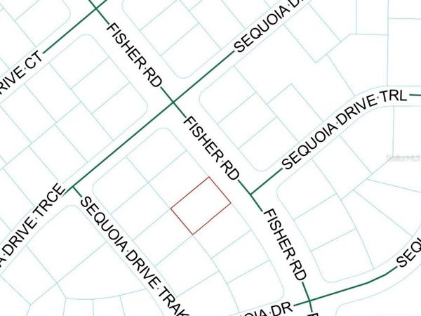 FISHER ROAD , OCKLAWAHA, FL 32179
