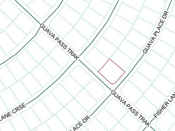 GUAVA PLACE DRIVE , OCKLAWAHA, FL 32179