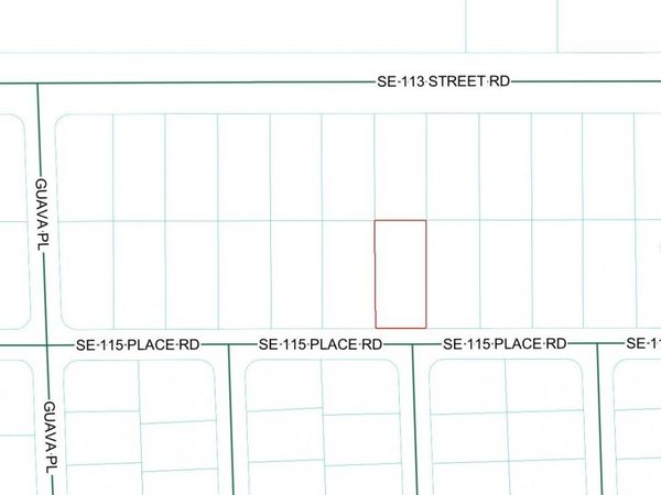 SE 115 PLACE ROAD, OCKLAWAHA, FL 32179