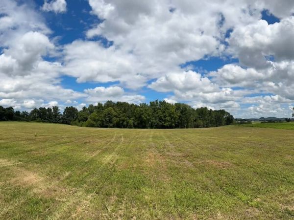 0 Ben Armstrong Rd , Unit 1, Castalian Springs, TN 37031