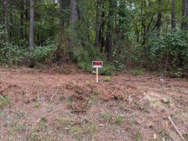 0 Iron Hill Road Lot 3 , Taylorsville, GA 30178