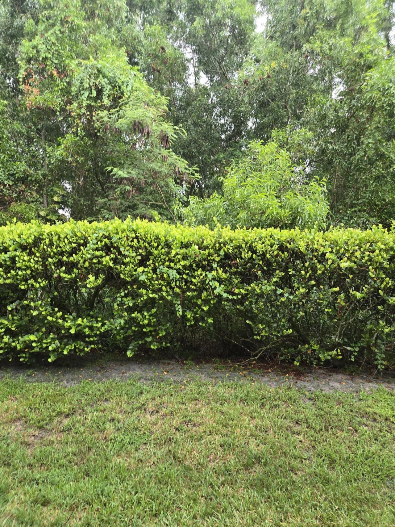 4675 Palmbrooke Circle, West Palm Beach, FL 33417 Photo