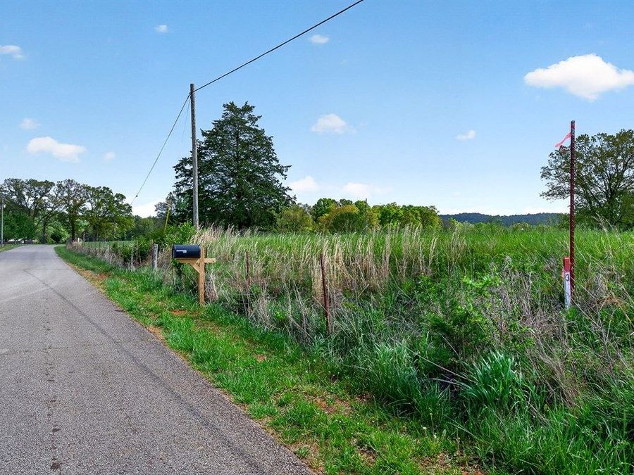 Property Image 54