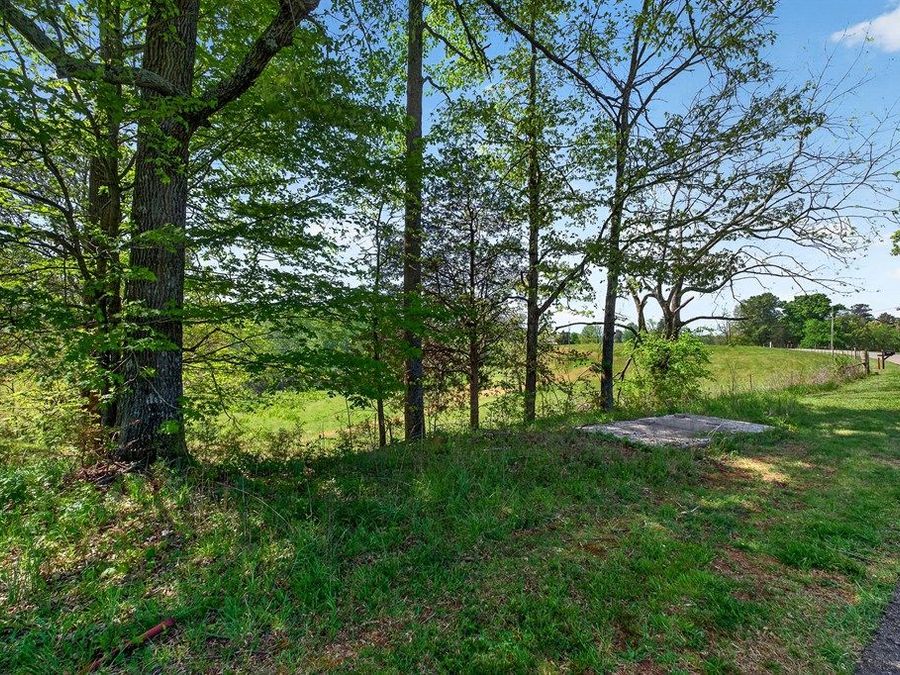 Property Image 59