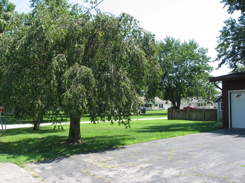 118 Stockton Avenue, Sabina, OH 45169 Photo 23