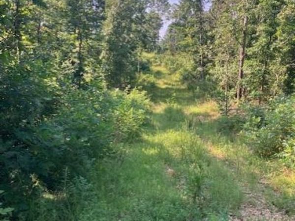 281 Madison CR 410 , Fredericktown, MO 63645