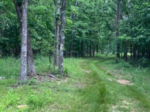 282 Madison CR 410 , Fredericktown, MO 63645