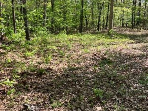 283 Madison CR 410 , Fredericktown, MO 63645