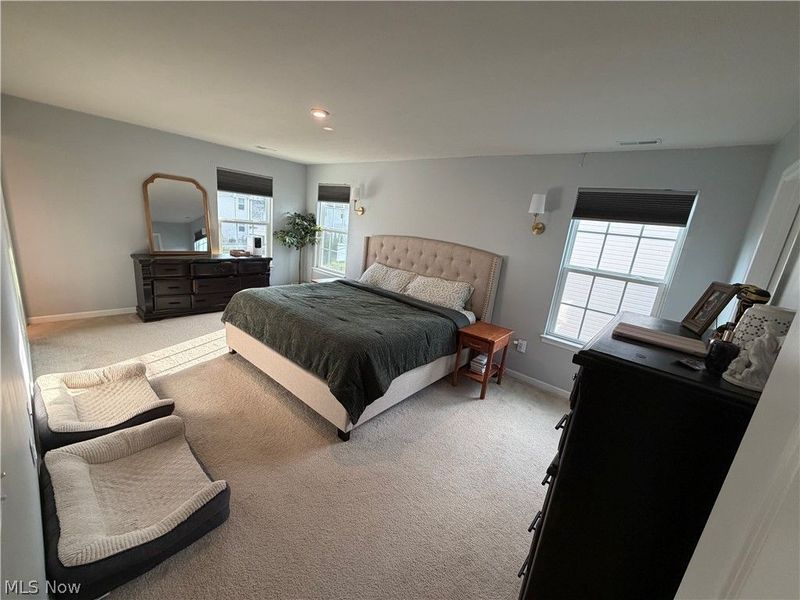 500 Bailey Court, Lagrange, OH 44050 Photo 17
