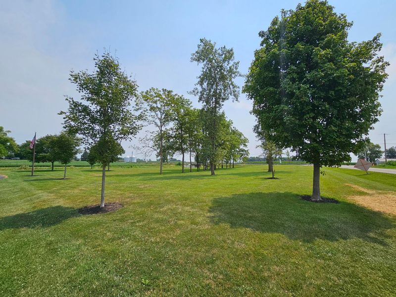 9960 Merchant Luttrell Road, Sabina, OH 45169 Photo 10