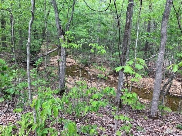 284 Madison CR 410 , Fredericktown, MO 63645