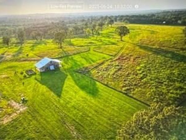 447 Cr 215, Abbeville, MS 38601