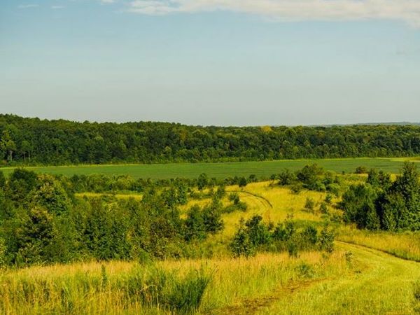 1037 Cr 300, Big Creek, MS 38914