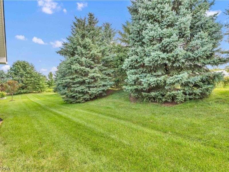 574 Hyannis Port Circle, Avon Lake, OH 44012 Photo 35