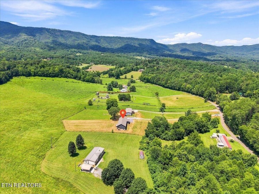 Property Image 45