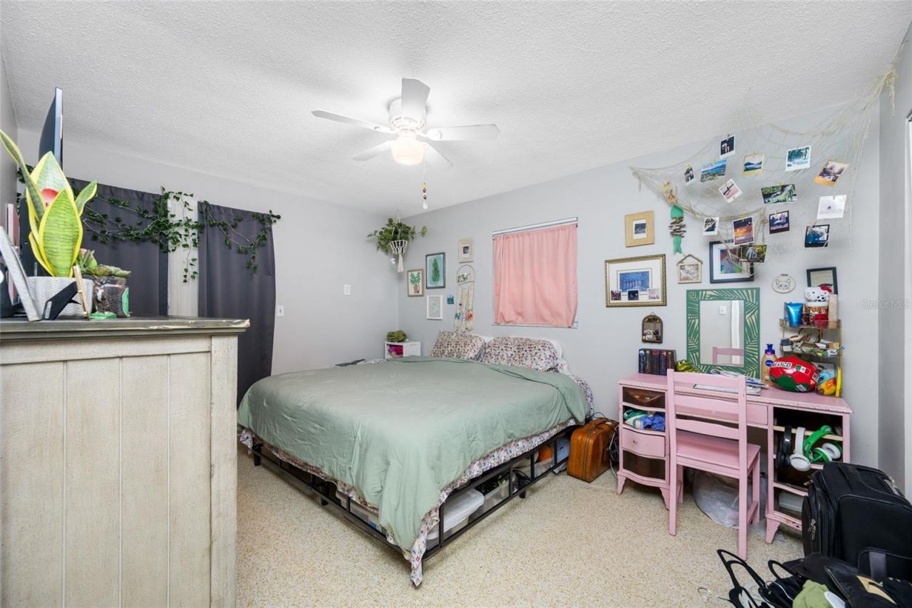 3935 11th Avenue N, Saint Petersburg, FL 33713 Photo