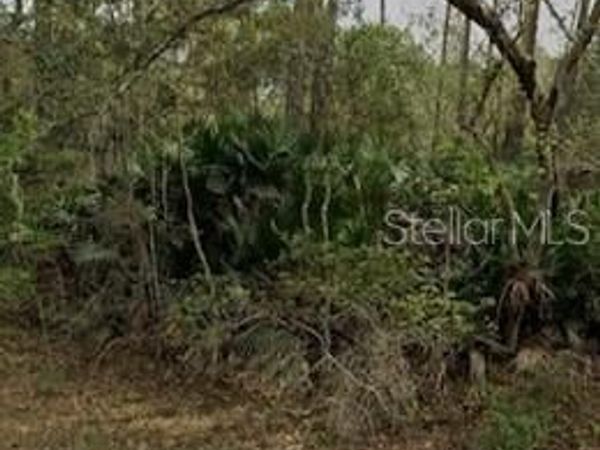 INTERLACHEN, FL 32148