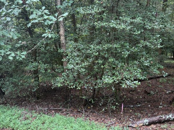 308 Creekside Trail, Ellijay, GA 30540