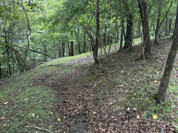 422 Zeblin Road, Ellijay, GA 30540