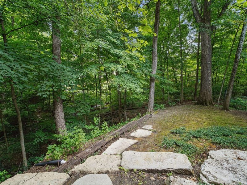 388 Lily Pond Court, Columbus, OH 43230 Photo 80