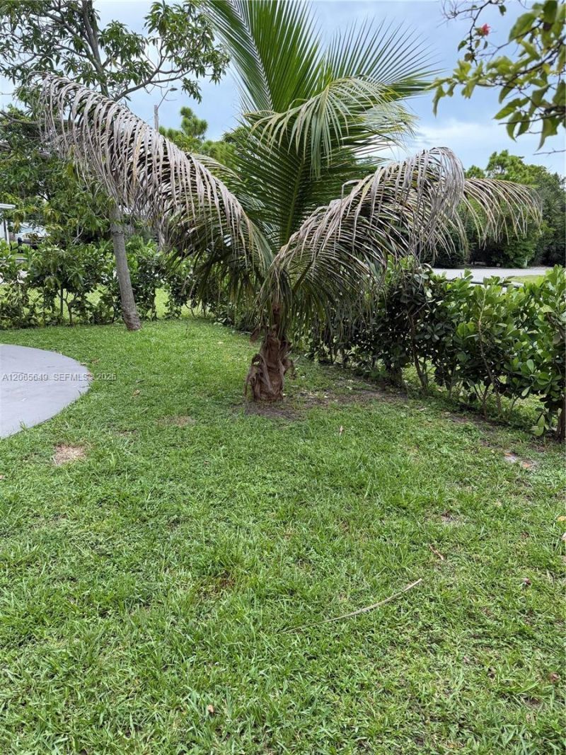 10860 NE 11th Ave, Miami, FL 33161 Photo