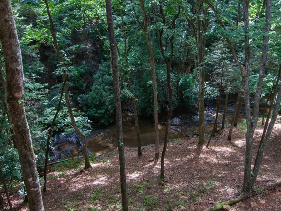 Property Image 65