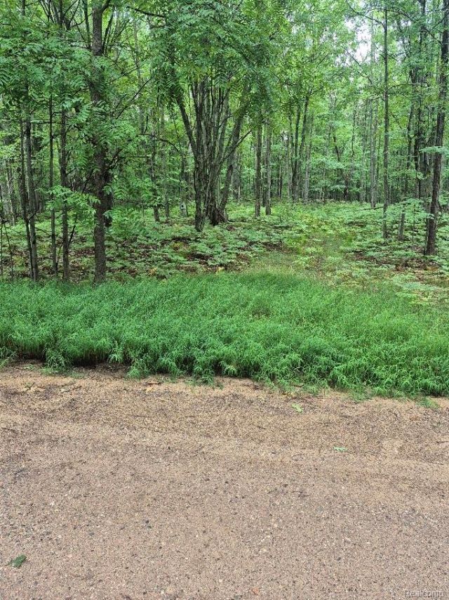 162 (lot 32) West Ridge Circle, Rose Lake Township, Mi 49655 Main Photo