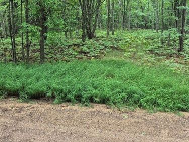 162 (Lot 32) West Ridge Circle, Rose Lake Township, Mi 49655