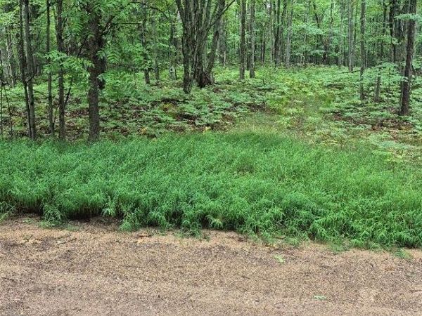 162 (Lot 32) West Ridge Circle , Rose Lake Township, Mi 49655