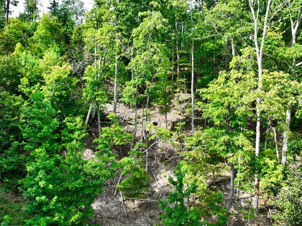 57 Ridge Top Rd , Stewart, TN 37175