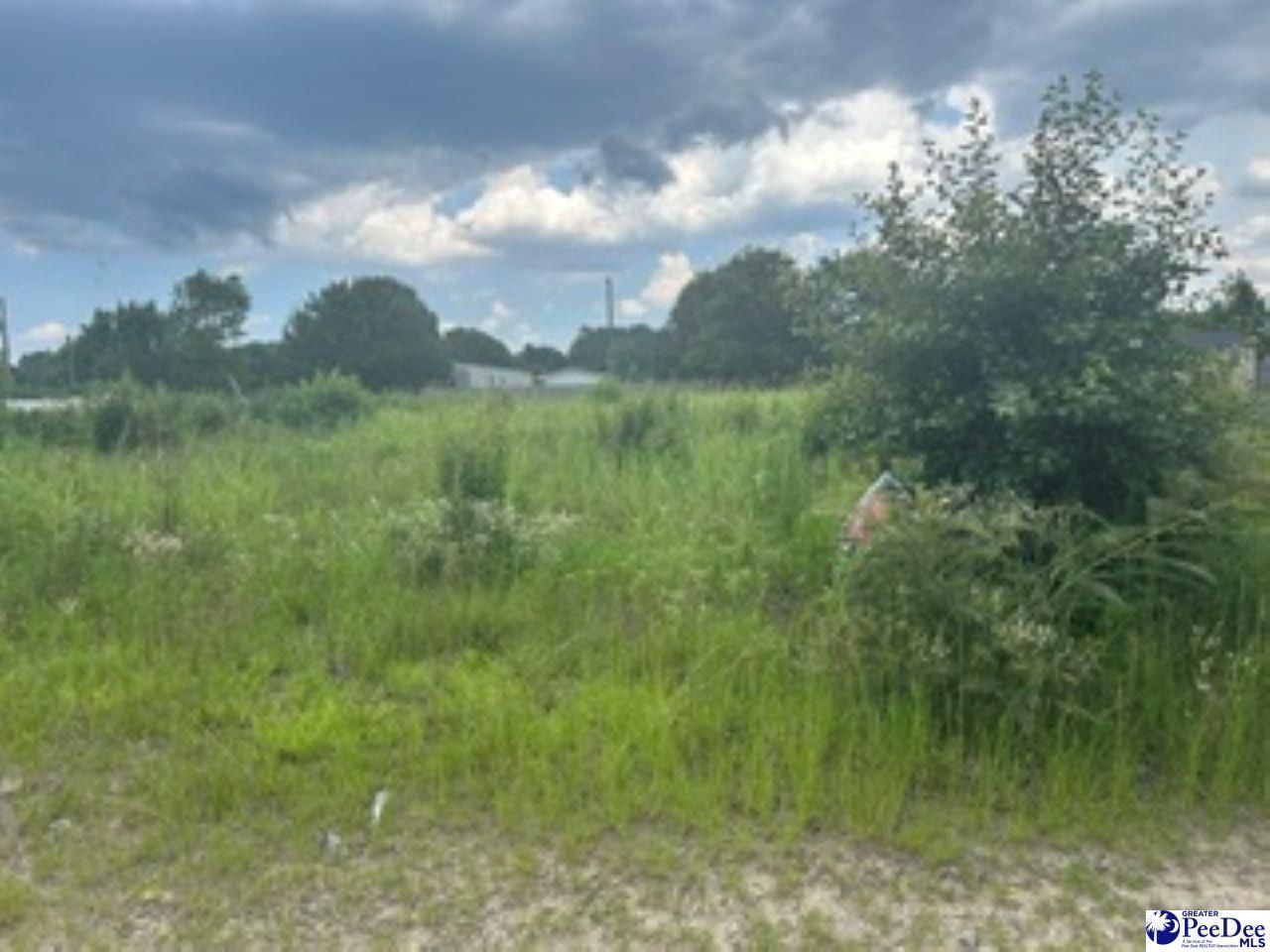 2556 Shadeland Drive Photo 4