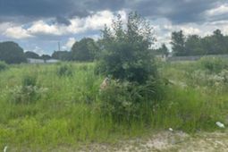 2556 Shadeland Drive photo 4
