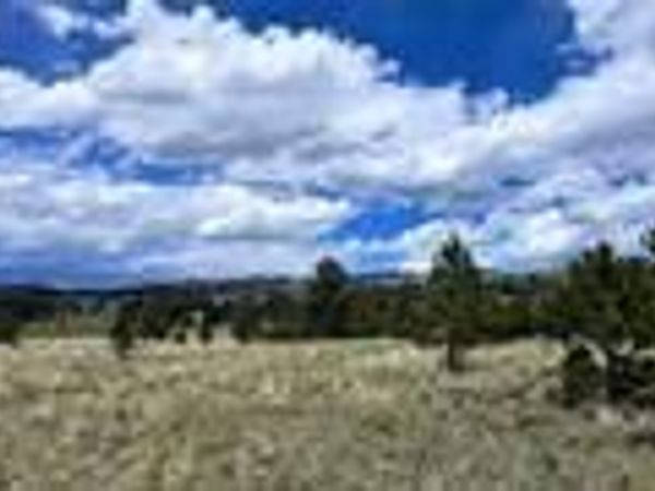 TBDLot 156 Crystal Falls Drive, Westcliffe, CO 81252