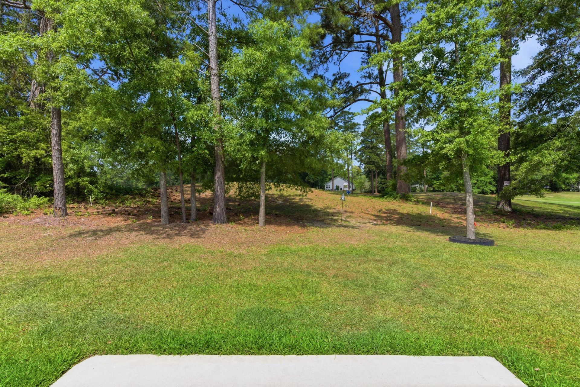 126 Congaree Court Photo 34