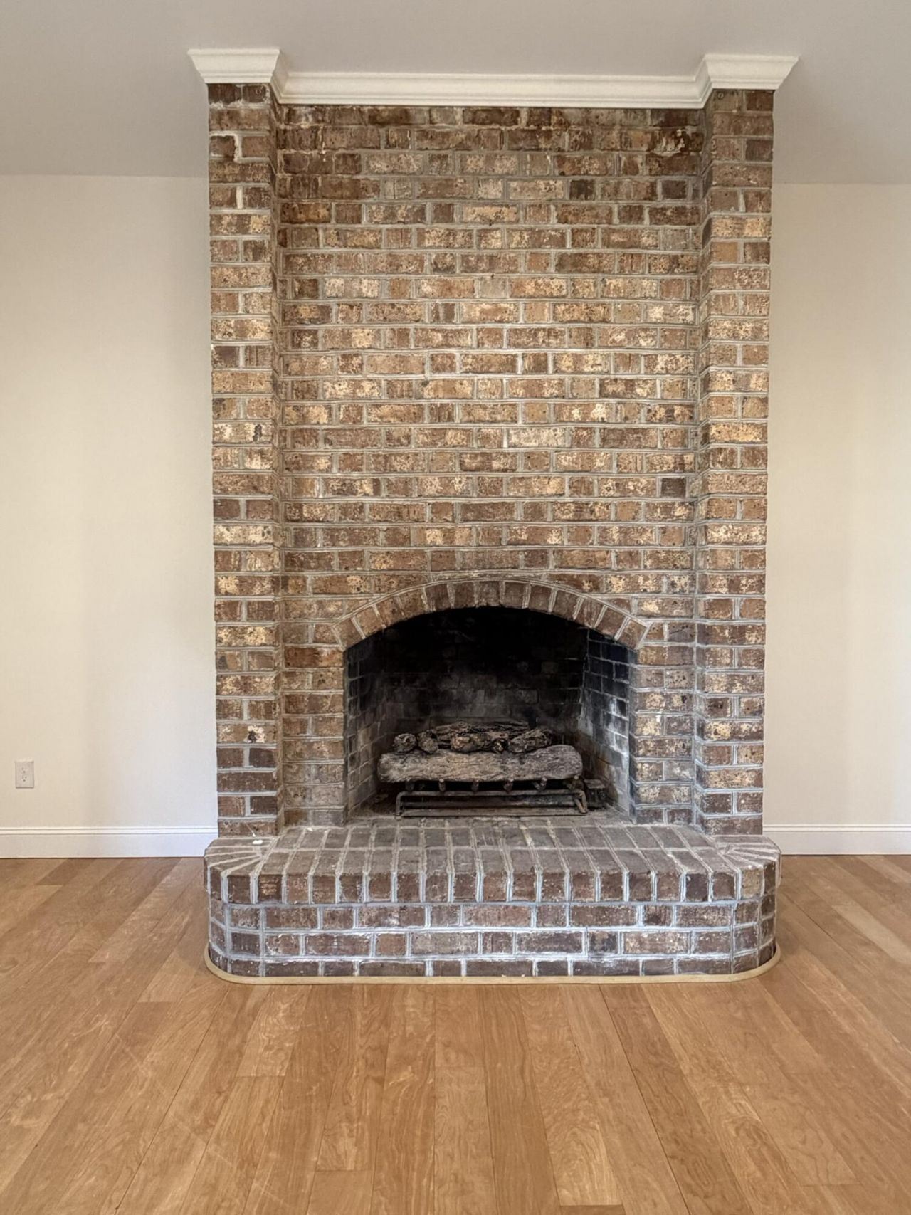 255 Mason Drive Photo 47