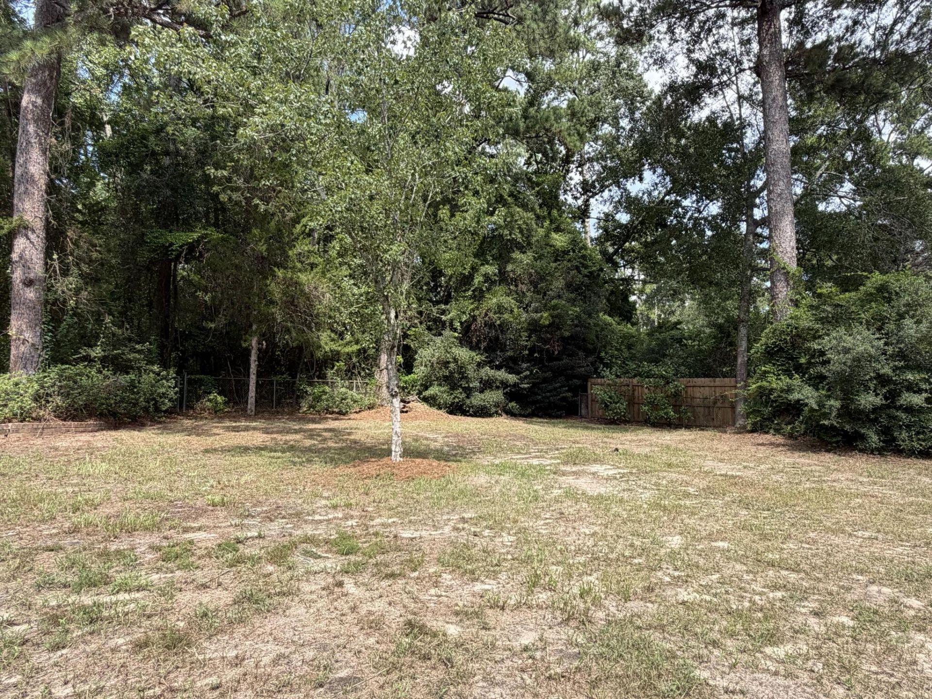 255 Mason Drive Photo 73