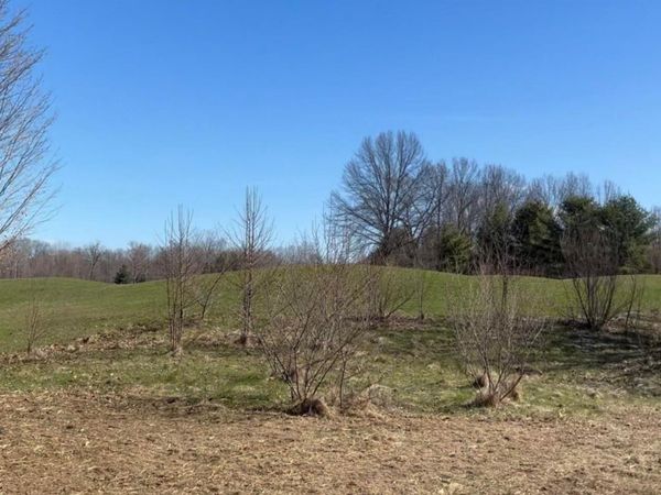 19529 Kluver Road, New Buffalo Township, Mi 49117