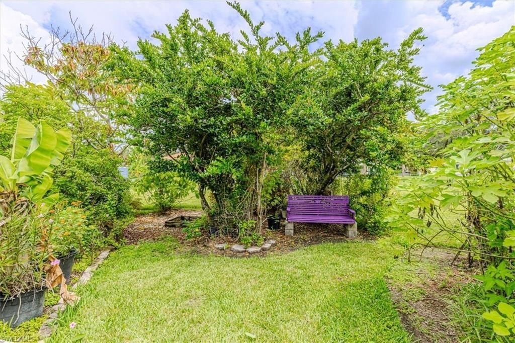 15551 Idalia Dr, Alva, FL 33920 Photo