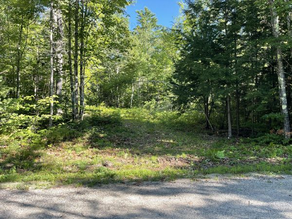 Lot #0 Birch View Drive , Albany Twp, ME 04217